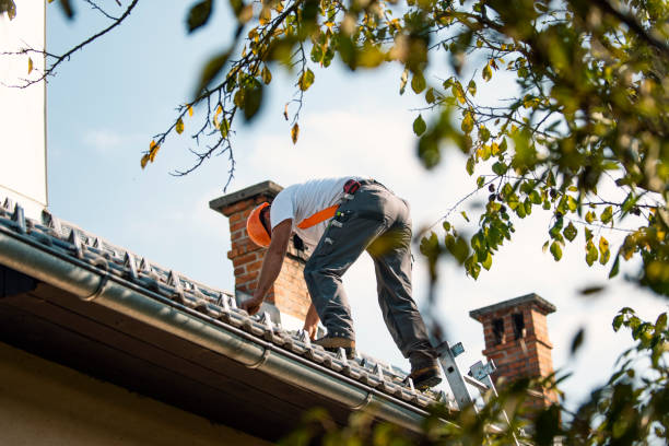 Best Roof Maintenance Services  in Naples, UT