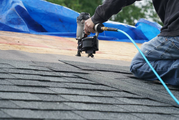 Roof Installation Near Me in Naples, UT
