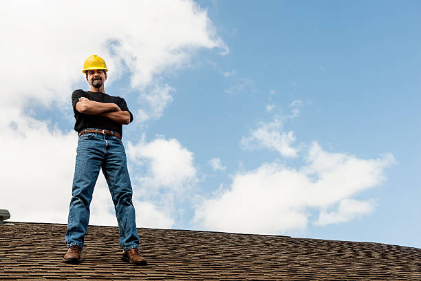 Professional Roofing Contractor in Naples, UT