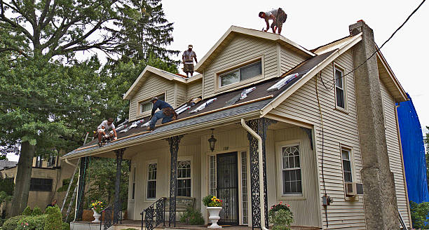 Best Storm Damage Roof Repair  in Naples, UT