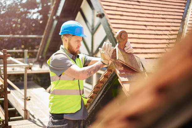 Best New Roof Installation  in Naples, UT